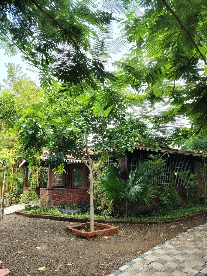 Lush green garden and cottage surrounded by trees at Tapasya Health & Wellness retreat, Kolhapur