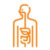 Digestive disorders icon